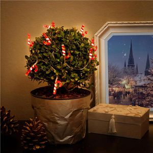 Produktbild für Lichterkette Goobay 58117, Zuckerstangen, 10 LED, innen