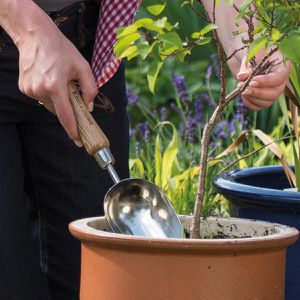 Produktbild für Blumenkelle Kent&amp;Stowe Pflanzschaufel, 70100097, aus Edelstahl