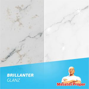 Produktbild für Allzweckreiniger Meister-Proper Frühlingserwachen