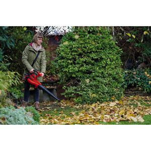 Produktbild für Laubbläser-Laubsauger Einhell GE-CL 36/230 Li E