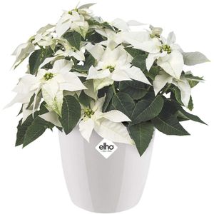 Produktbild für Übertopf elho Brussels Diamond, weiß, Ø 22 x 20 cm