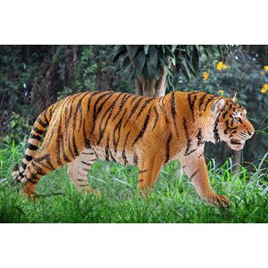 Produktbild für Spielfigur schleich WILD LIFE 14729, ab 3 Jahre