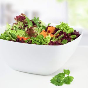 Produktbild für Schüssel Emsa Vienna 505271