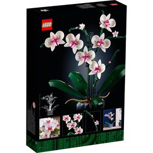 Produktbild für Klemmbausteine LEGO Botanicals 10311, ab 18 Jahre
