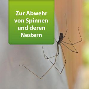 Produktbild für Insektenspray ARDAP Repell Spinnenspray