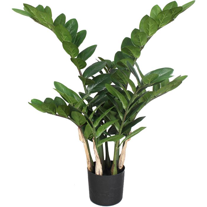 Creativ-green Kunstpflanze Zamiifolia, Höhe 70 cm, Glücksfeder, im Topf –  Böttcher AG
