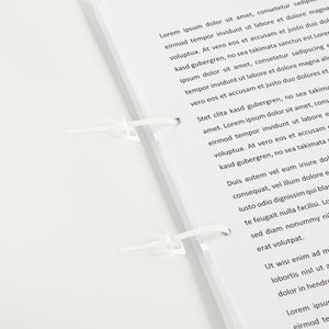 Produktbild für Schlaufenhefter Eichner 9038-00006 Strip, A4
