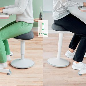Produktbild für Fitness-Hocker Leitz Ergo Active