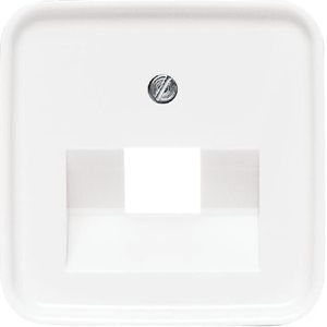 Zentralplatte Busch-Jaeger 1803-214