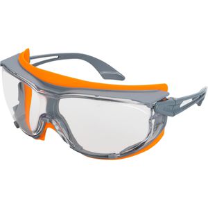 Schutzbrille