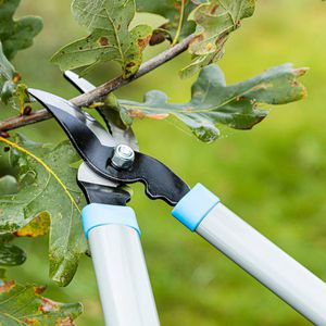 Produktbild für Astschere Böttcher-AG 94201