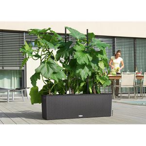 Produktbild für Rankgitter Lechuza 15011, schwarz, zum Stecken