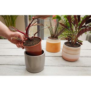Produktbild für Pflanzsubstrat Westland POR Universal-Granulat, 6 Liter