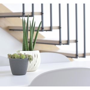 Produktbild für Übertopf Prosperplast Sandy Bowl, anthrazit, Ø 18 x 14 cm