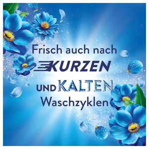 Produktbild für Weichspüler Lenor Küstenblumen &amp; Zypresse