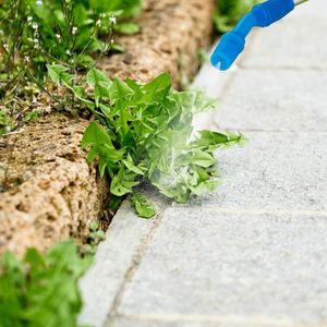 Produktbild für Drucksprüher Relaxdays 10 Liter