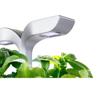 Produktbild für Anzuchtkasten Veritable Exky Smart, 20x18,2x45,6cm