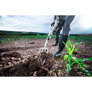 Produktbild für Spatengabel SHW 54631, Havau, T-Griff