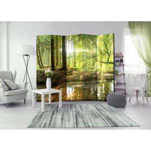 Produktbild für Paravent Artgeist Forest Lake II, innen, 5-teilig