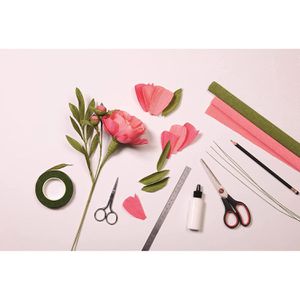 Produktbild für Krepppapier Clairefontaine 995000C farbig sortiert