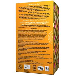 Produktbild für Tee Pukka Cacao Chai, BIO
