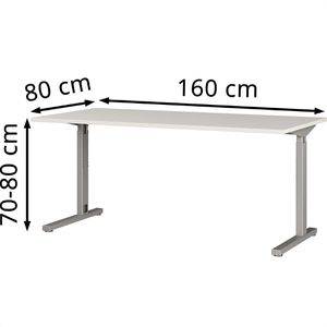 Produktbild für Schreibtisch Germania Profi 3.0, 4252-583, lichtgrau / silber
