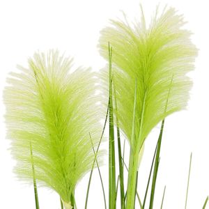 Produktbild für Kunstpflanze I.GE.A. Pampasgrasbund