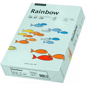 Produktbild für Kopierpapier Papyrus Rainbow 88042700