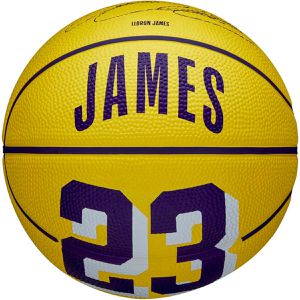 Basketball WILSON NBA Player Lebron James, outdoor