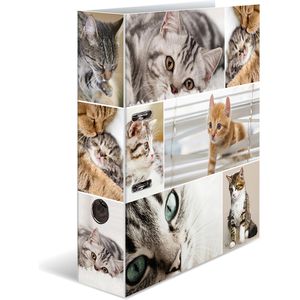 Herma Ordner 7166 Animals, Karton, A4, 7cm, Motiv Katzen