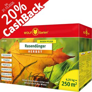 Dünger