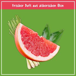 Produktbild für Bodenpflege Poliboy NCP, Boden, Konzentrat