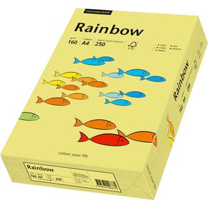 Produktbild für Kopierpapier Papyrus Rainbow 88042327