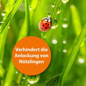 Produktbild für Fliegenfalle ARDAP 077701, zum Aufstellen und Aufhängen