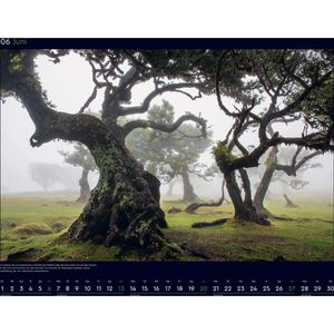 Produktbild für Bildkalender Kunth 761531, Magische Wälder der Erde, Jahr 2027