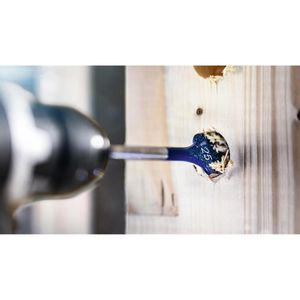 Produktbild für Flachfräsbohrer Bosch Expert Self Cut Speed 2608902112