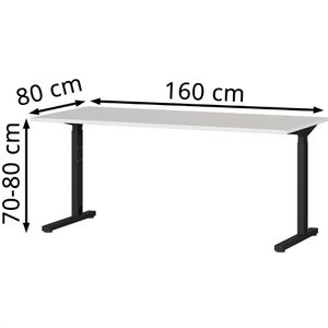 Produktbild für Schreibtisch Germania Profi 3.0, 4252-581, lichtgrau / schwarz