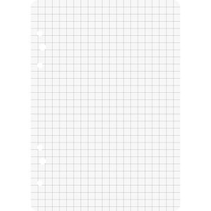 Produktbild für Ringbucheinlagen Brunnen 106620201, A6