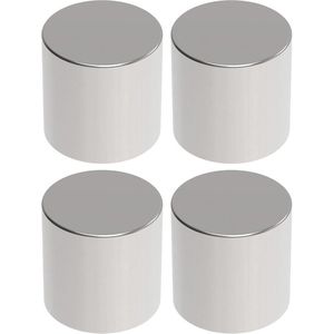 Magnete Maul 61668, silber, Neodym Magnete