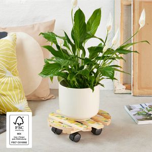 Produktbild für Pflanzenroller Wagner-System Your Style GH 0640, für innen