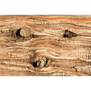 Produktbild für Duftkerzen ipuro Essentials cedar wood