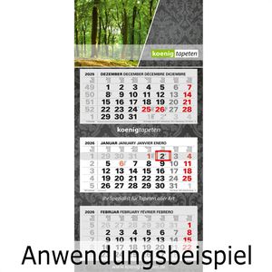 Produktbild für 3-Monatskalender Böttcher-AG Jahr 2026, mit Werbedruck