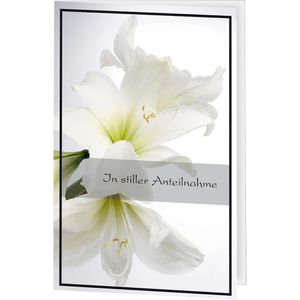 Produktbild für Trauerkarten Sigel DS006, Amaryllis