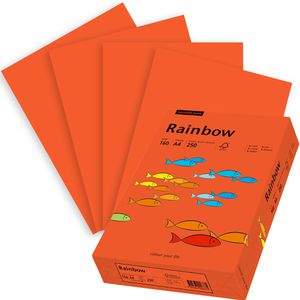 Kopierpapier Papyrus Rainbow 88042461