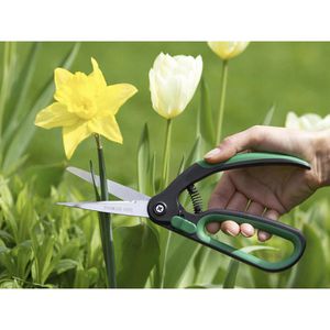 Produktbild für Gartenschere Meister WU9719400 Buchsbaumschere, Bypass