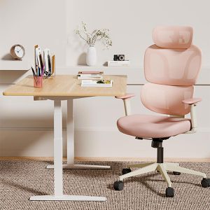 Produktbild für Bürostuhl FlexiSpot BS5P