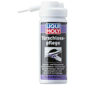 Türschlosspflege