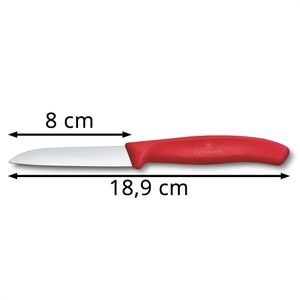 Produktbild für Gemüsemesser Victorinox Swiss Classic 6.7401.C1