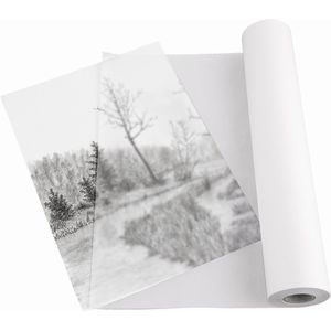 Produktbild für Skizzenrolle Hahnemühle 10620009, 33cm x 50m