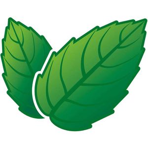 Produktbild für Fruchtbonbons Tic-Tac fresh mint, Big Pack
